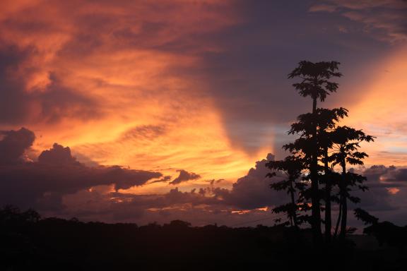 lever de soleil près du projet Mbou Mon Tourà Nkala en RD Congo
