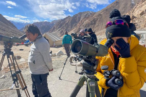 Observation de la panthère des neiges au Ladakh