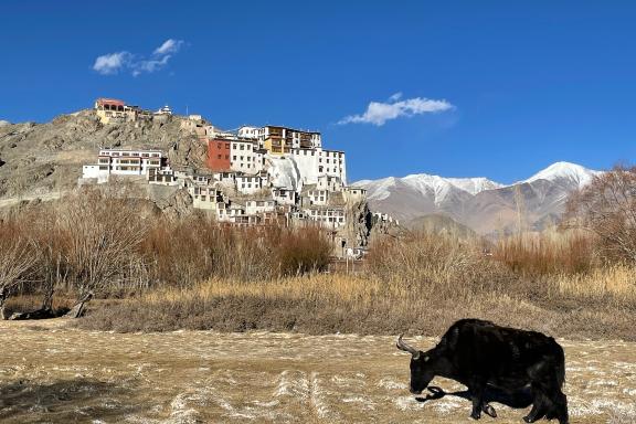 Monastère bouddhiste près de Leh au Ladakh