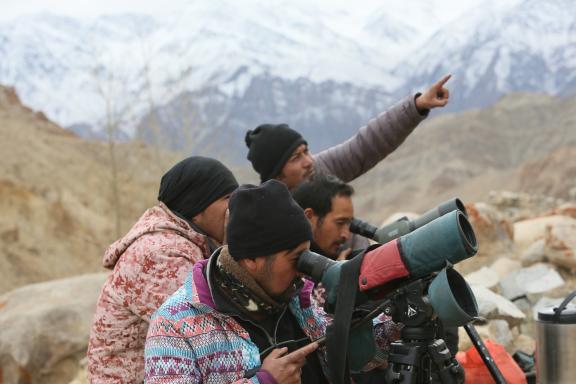 Pisteurs de panthères des neiges au Ladakh en Inde