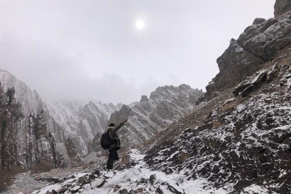 Parc d'Hemis sous la naige au ladakh, en Inde