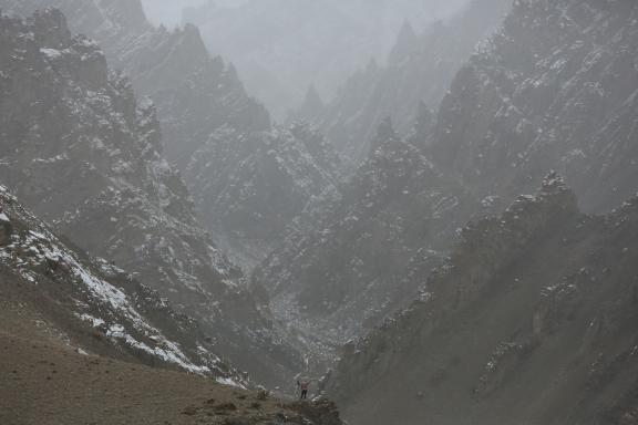 Pisteur à la recherche des panthères des neiges au ladakh, en Inde
