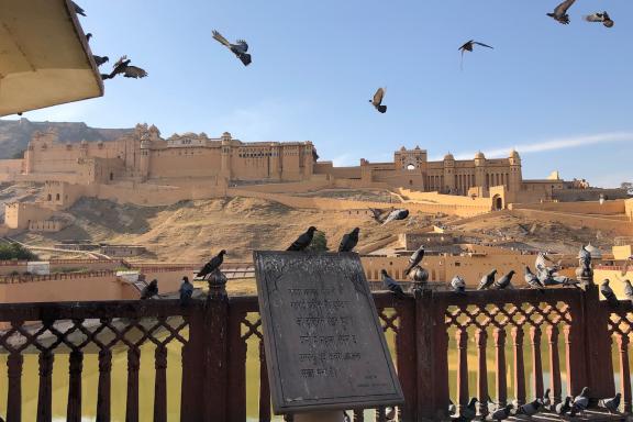 Fort d'Amber près de Jaïpur en Inde