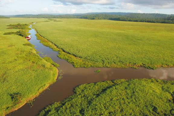 Vue aérienne des marais de Kaw en Guyane