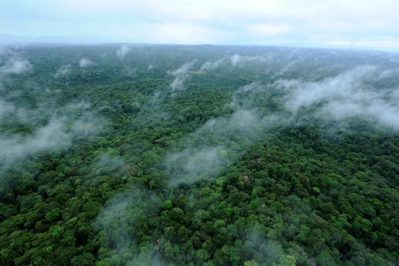 Forêt amazonienne vue du ciel avec nuages