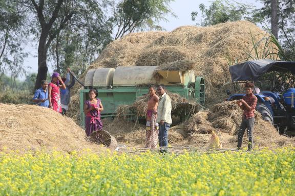 Villageois au travail près du parc de Bardia au Népal