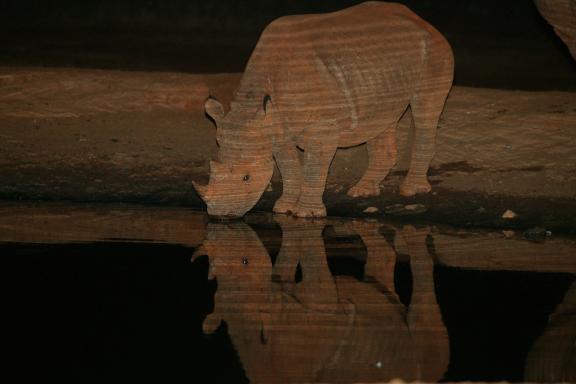 Observation nocturne d'un rhinocéros noir à Ngulia au Kenya