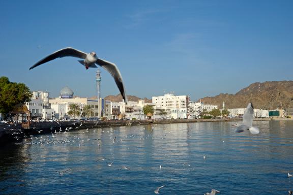 Port de Mascate au Sultanat d'Oman