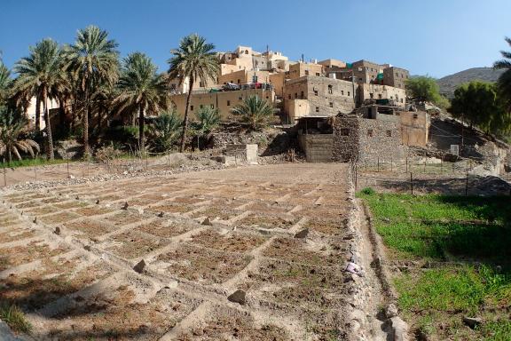 Villages et cultures au Sultanat d'Oman