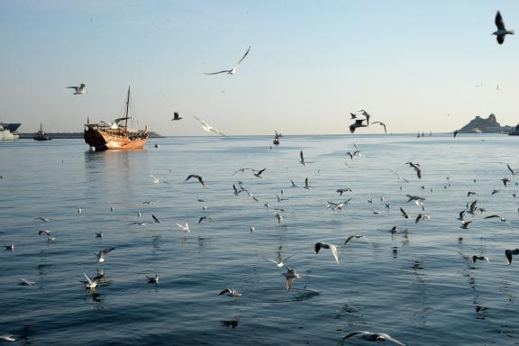 Port de Mascate au Sultanat d'Oman