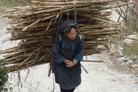 Rencontre d'une femme transportant du bois au Guizhou
