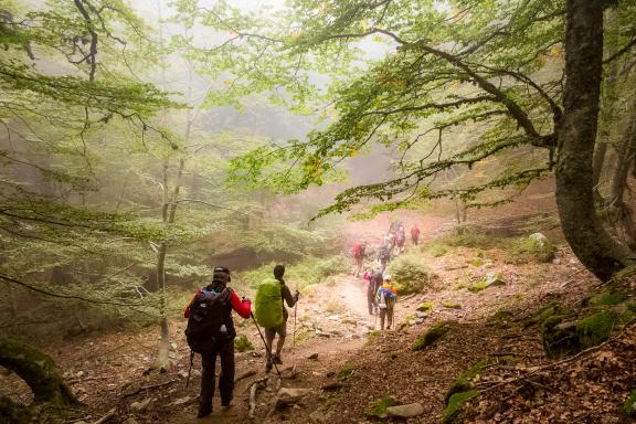 Randonnée dans la forêt de Vizzavona en Corse