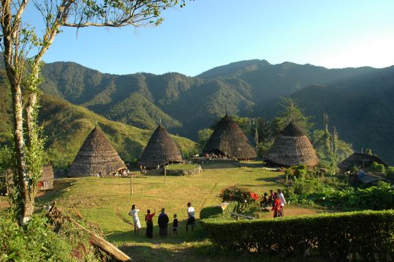 Randonnée vers le village manggarai de Wae Rebo sur l'île de Flores