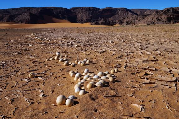 Trek et fossiles dans la région de Djanet en Algérie