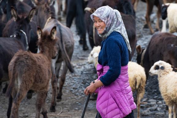 La vallée du Spiti en Inde