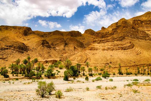 Trek autour d'un massif dunaire dans le Sahara