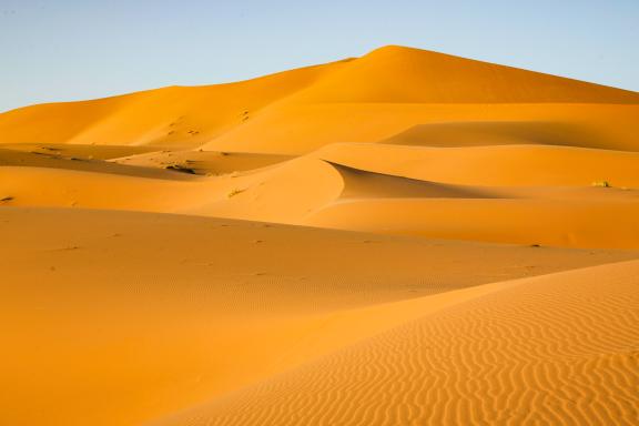 Trek sur des dunes ocres au Maroc