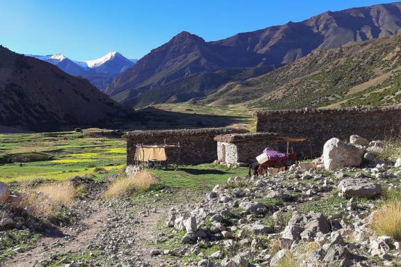 Voyage au M'goun dans l'Atlas