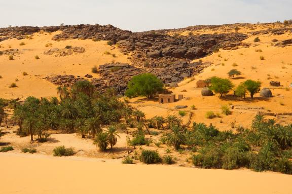 Randonnée près d'une palmeraie de l'Adrar