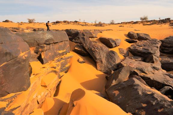 Voyage avec un randonneur dans l'Adrar