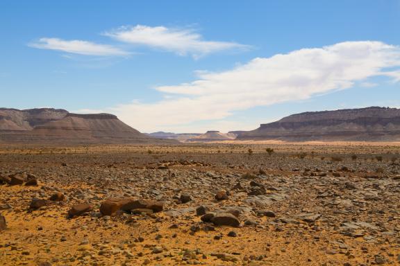 Trek sur un plateau minéral de l'Adrar