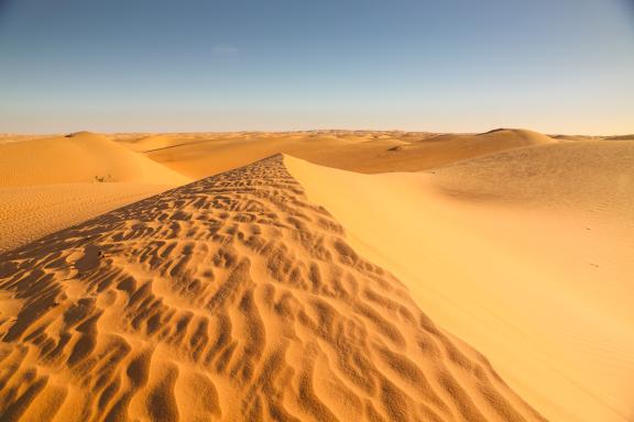 Voyage et paysage dunaire de la vallée blanche