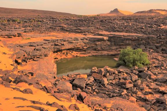 Découverte d'une guelta en Mauritanie