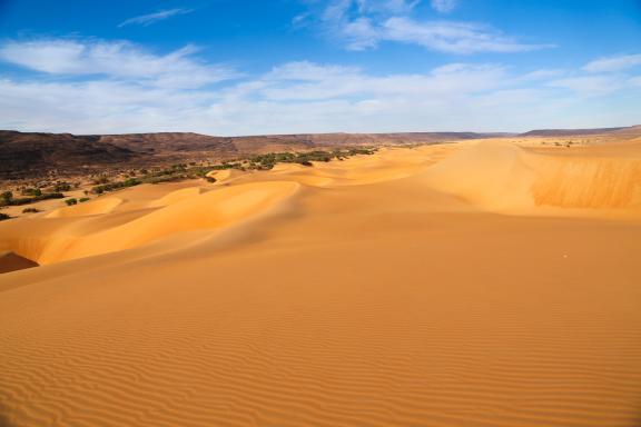 Trekking sur des dunes et végétation du plateau de Zarga