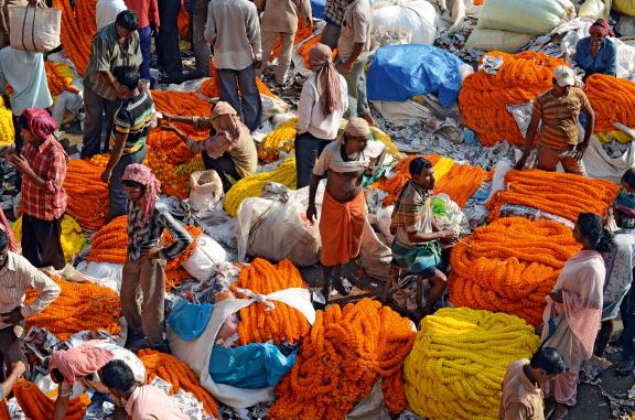 Randonnée vers le grand marché aux fleurs de Calcutta