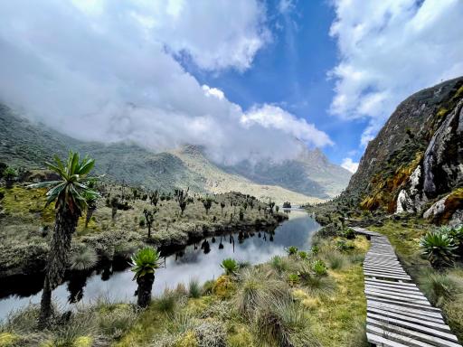 Ascension des Rwenzori et safari en Ouganda