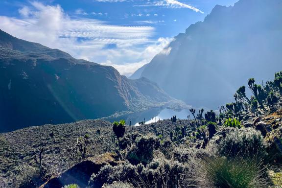 Ascension des Rwenzori et safari en Ouganda