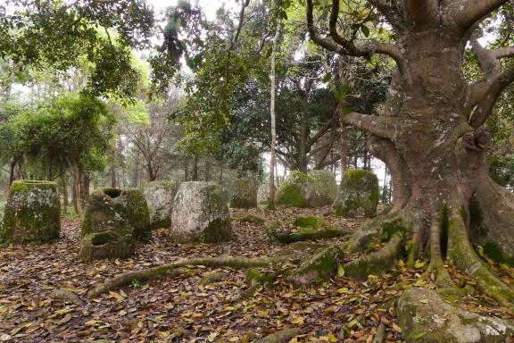 Trek à travers la Plaine des Jarres dans la région de Xieng Khouang