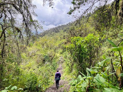 Trek en Ouganda