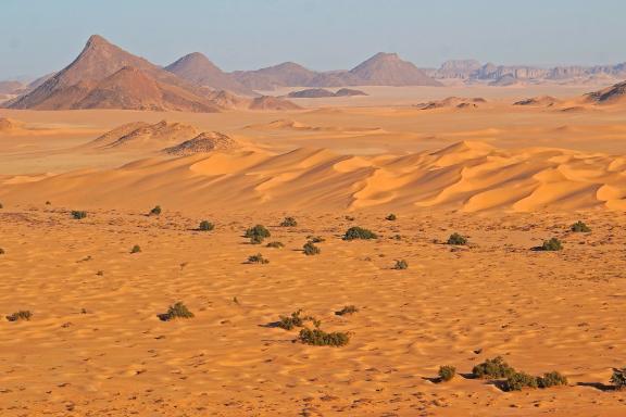 Randonnée sur un plateau et dunes en Algérie