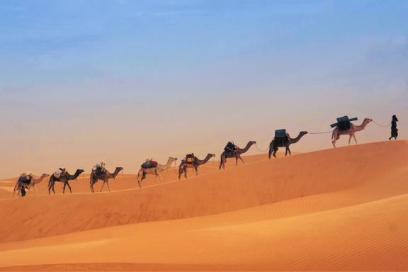 Randonnée et caravane de chameaux