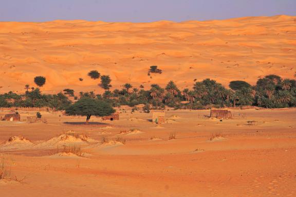 Trekking dans une palmeraie d'un village abandonnée en Mauritanie