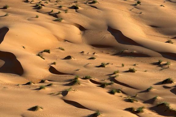 Dunes de l'Adrar