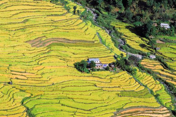 Dans la région des Annapurnas au Népal