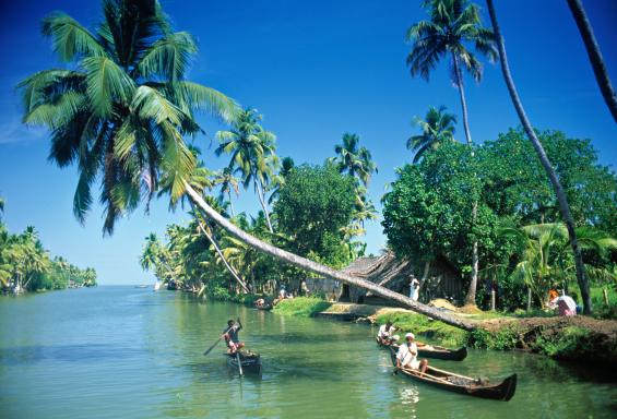 Navigation à travers les Backwaters du Kerala dans la région d'Alleppey
