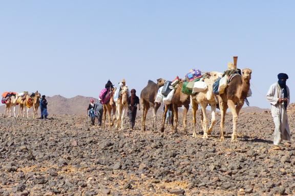 Randonnée chamelière dans l'Atakor