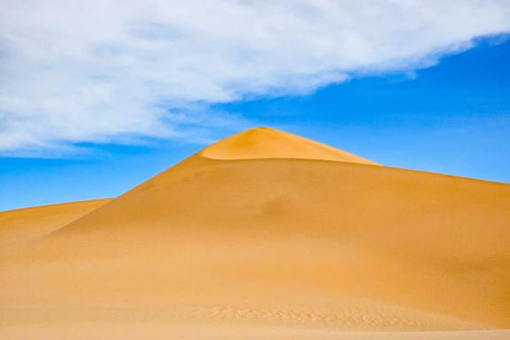 Trekking près de dunes dans l'Ahnet