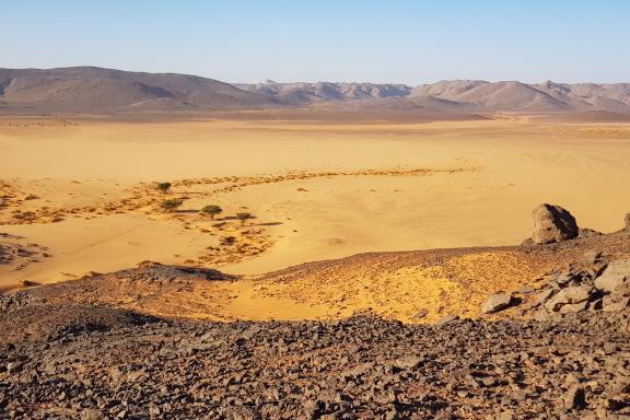 Trekking dans un Reg de l'Ahnet