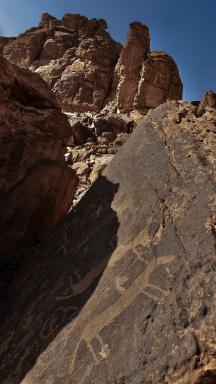 Contemplation des gravures rupestres du Wadi Disah