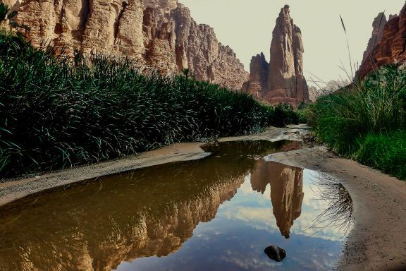 Randonnée dans les  paysage du Wadi Disah