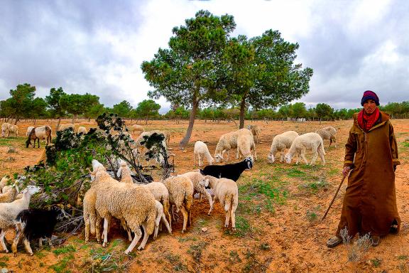 Rencontre avec un berger berbère en Algérie