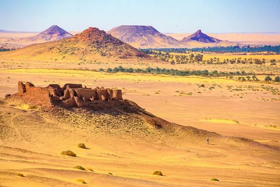 Randonnée dans le désert de Timimoun