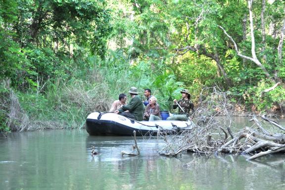 Approche de la faune par navigation dans le parc de Bardia