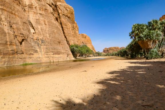 Trekking dans le canyon de Bachikélé