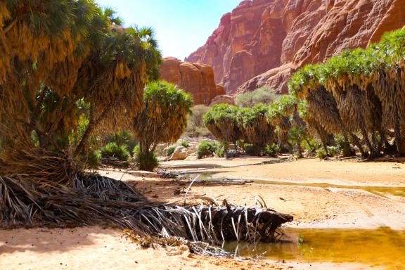 Voyage d'aventure au canyon de Bachikélé