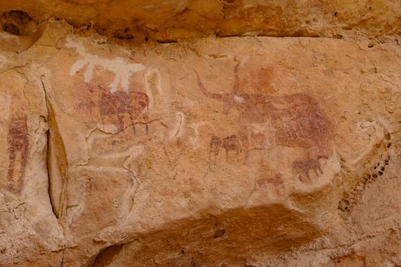Découverte de peintures rupestres à Terkeï